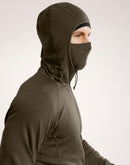 Arc'teryx Delta AR 1/2 Zip Neck Hoody Men's | Ranger Green | X000006194