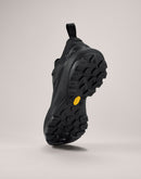 Arc'teryx Vertex Alpine GTX Shoe Men's | Black / Black | X000009602