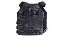 HSGI Core Plate Carrier